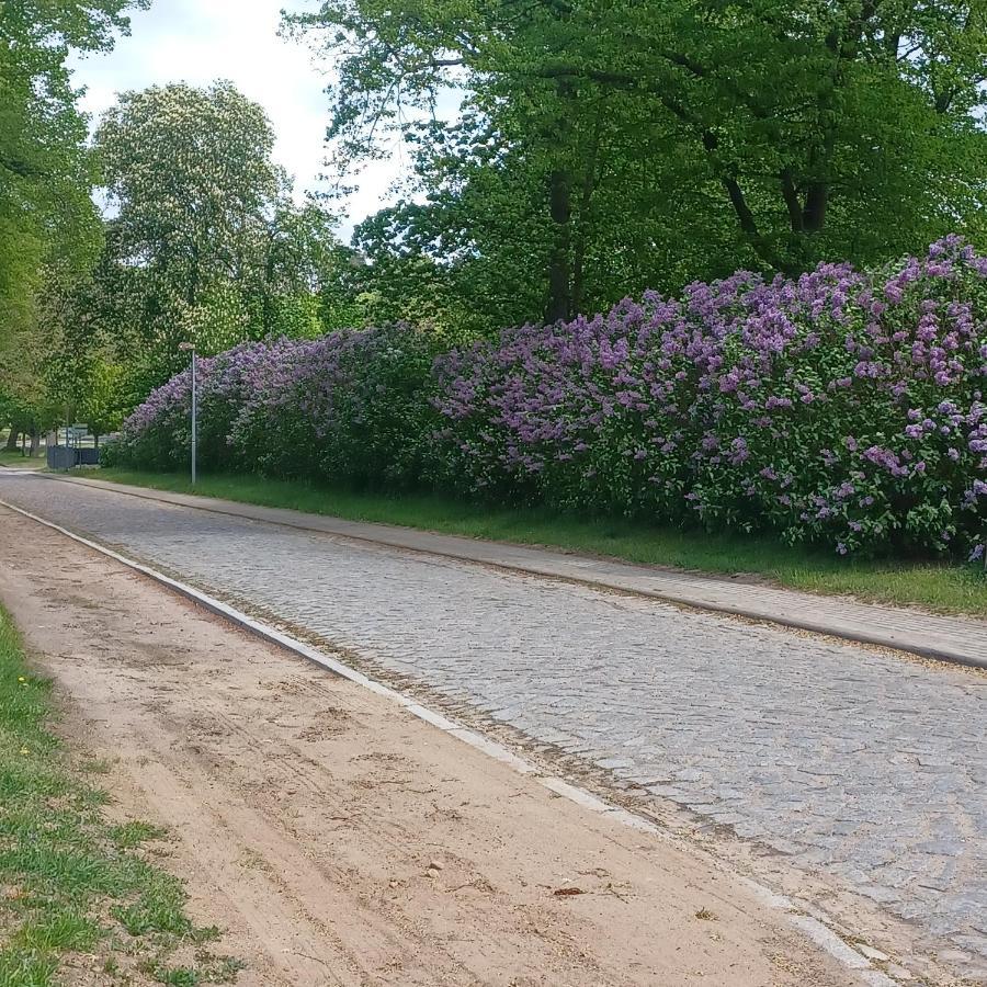 Zimmer Und Apartment Rosi Krakow am See Εξωτερικό φωτογραφία