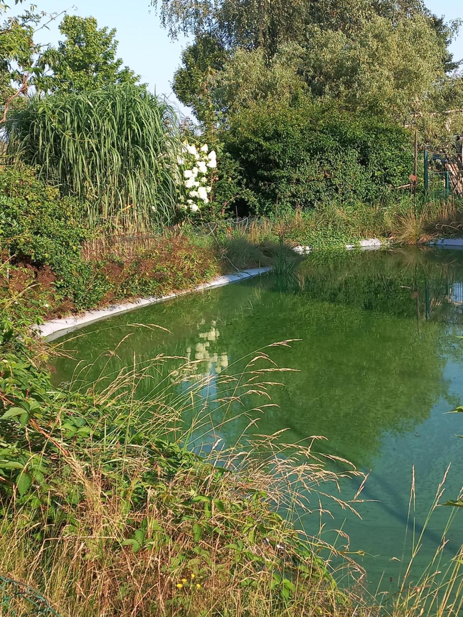 Zimmer Und Apartment Rosi Krakow am See Εξωτερικό φωτογραφία