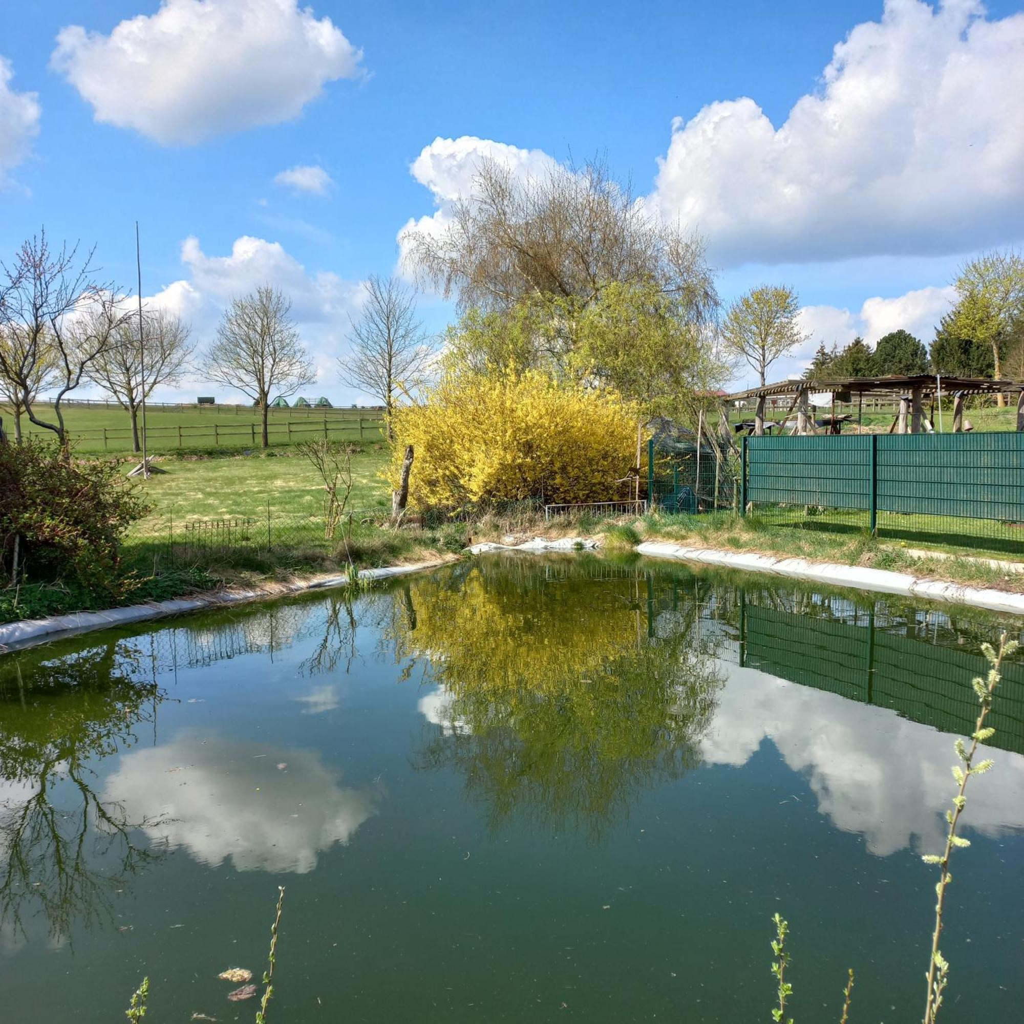 Zimmer Und Apartment Rosi Krakow am See Εξωτερικό φωτογραφία
