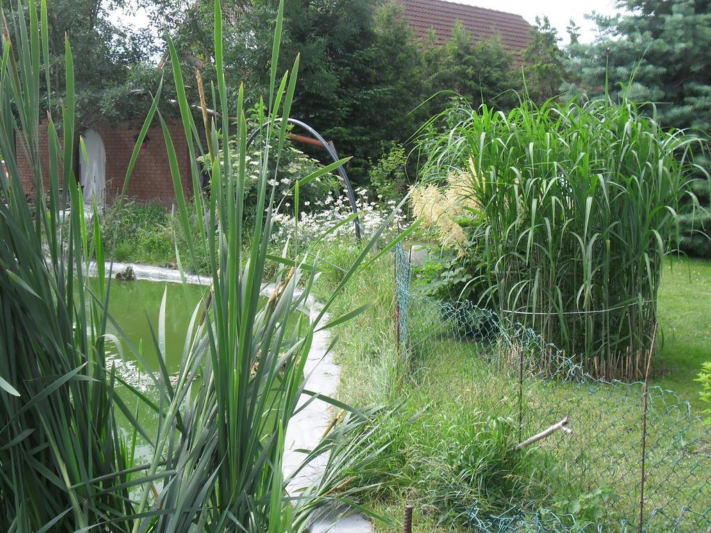 Zimmer Und Apartment Rosi Krakow am See Δωμάτιο φωτογραφία